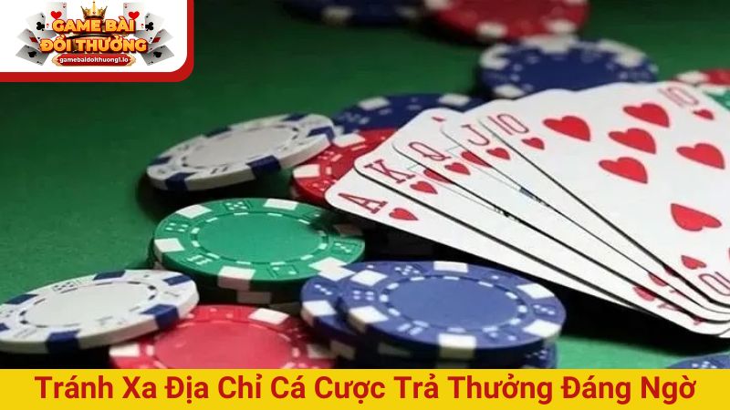 Tránh xa những địa chỉ cá cược trả thưởng cao đáng ngờ